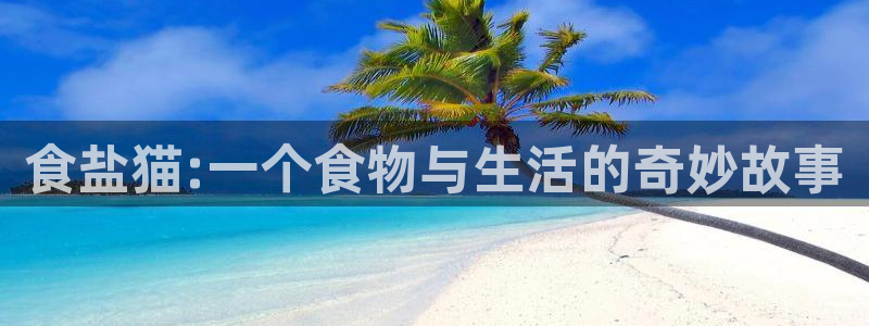 威九国际app网站