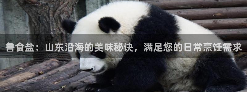 威九国际网站入口官网免费