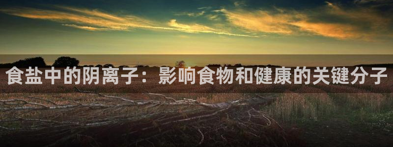 威九国际网站客服电话多少号码：食盐中的阴离子：影响食物和健康