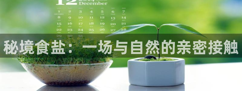 威九国际网站安全吗可靠吗