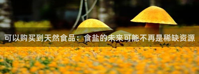 威九国际app客服电话号码：可以购买到天然食品：食盐的未来可